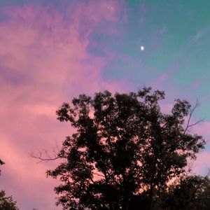 Meet your Posher, Maëlie